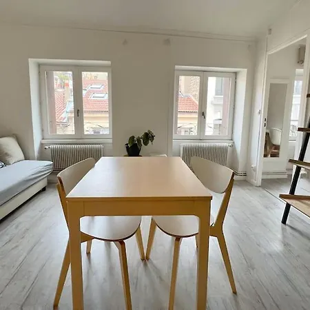 Charming T2 In The Heart Of The Saint-Etienne (Loire)