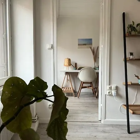 Charming T2 In The Heart Of The * Saint-Etienne (Loire)